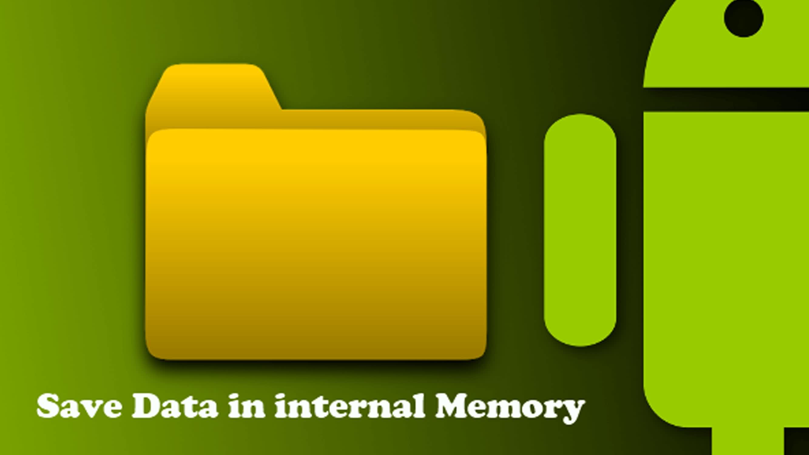 Internal Memory Data